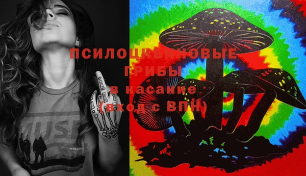 apvp Бородино