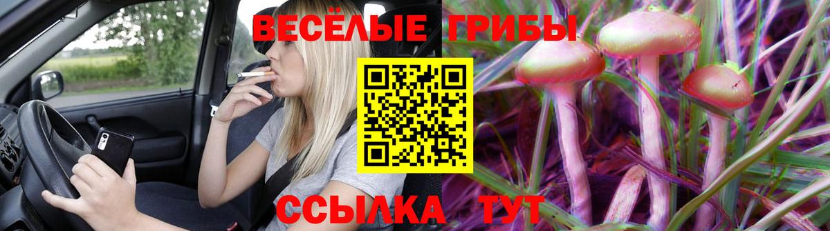 Наро-Фоминск  Псилоцибиновые грибы GOLDEN TEACHER  Вход с VPN 